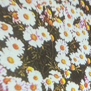 Meet your Posher, Kailyn